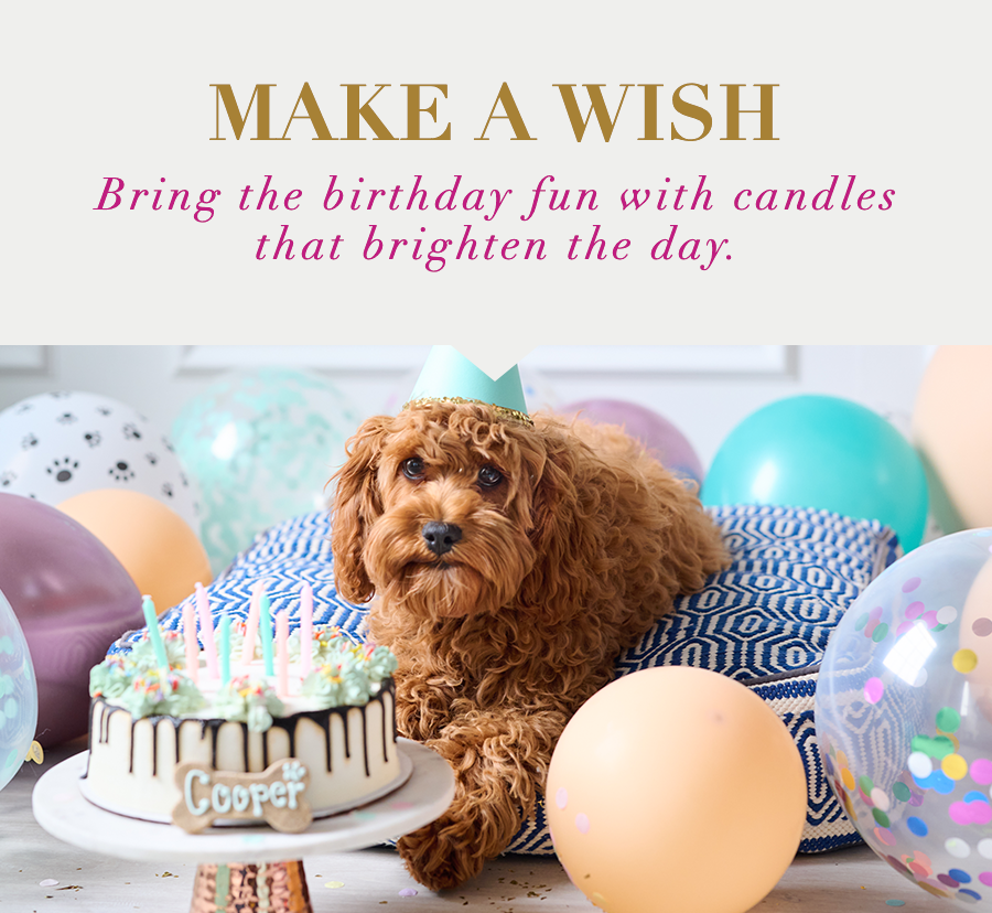Make A Wish Bring the birthday fun with candles that brighten the day. 